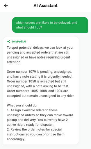 SoloPadi AI business assistant
